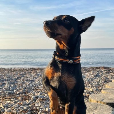 Anastasia Tkachuk $UNIO $PARAM 🐉 $MON