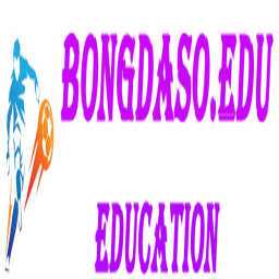 bongdaso