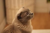 Дмитрий Потапенко