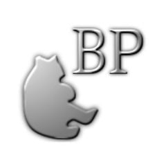 Bear Perfect SEO - Seattle