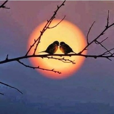 Nguyễn Hữu Xuân