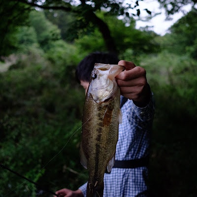 TOMATO FISHING CARTEL