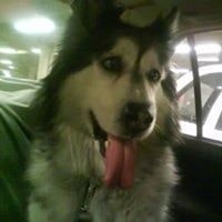 Miguel Angel Valentin Escribano