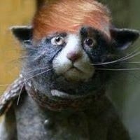 Валєнтін Котик