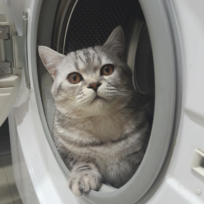 Стас Пыркин