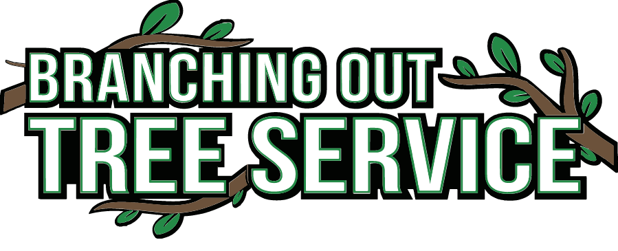 Grass & Yard Services Bronx