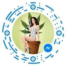 CannaBot.io