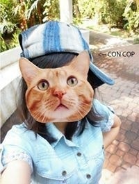 Cường Phạm Nguyễn