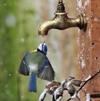 Savyasachi N Balakrishnan