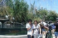 Ynes Mercedes Canales Jhong