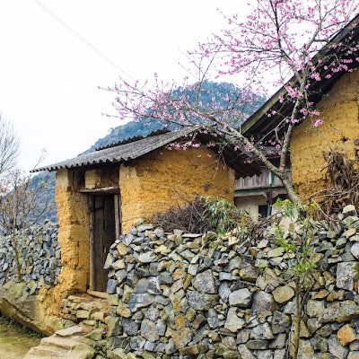 Homie Homestay Ha Giang