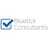 Bluetick Consultants Inc.