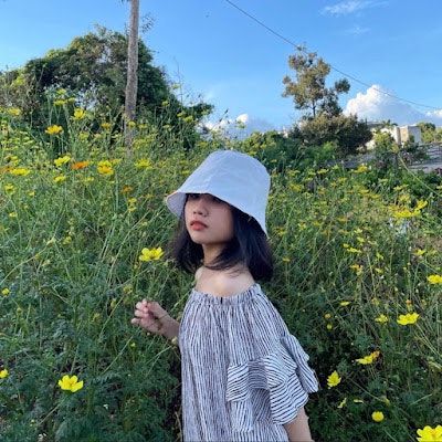 Thuỵ Như Võ Đình