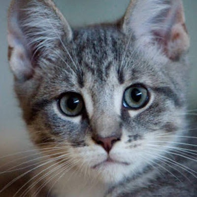 10_Trương Quỳnh Anh