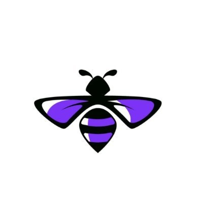 WASP (IT & Development)