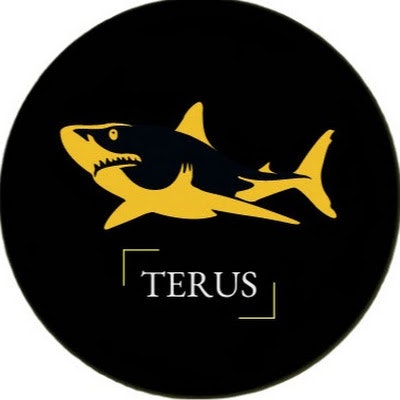 Thiết kế website chuyên nghiệp - Terus