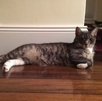 Keegan Kirk Cotterill