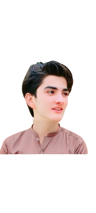 Ali Hamza