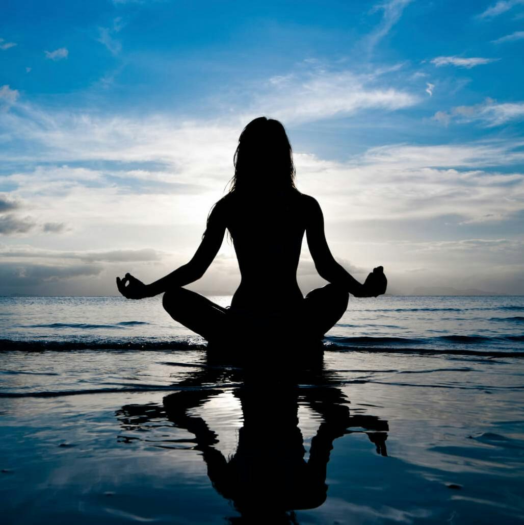 Владимир Шев