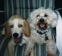 Patti Maker-Galletti