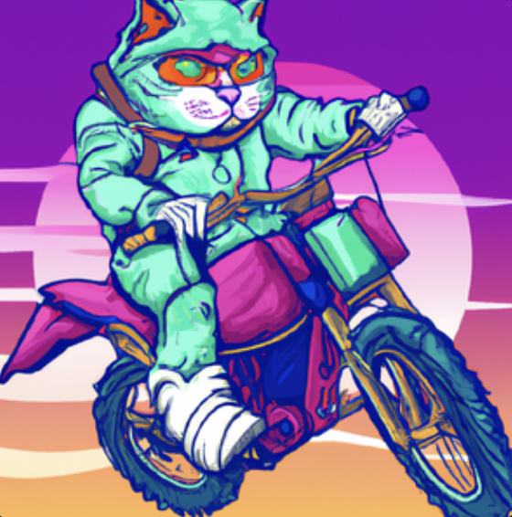 Hasanmis home ministry