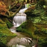 Mary Sue Halliburton