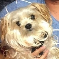 Susan Michelle Brock