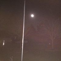 Maryjo Cicillini Wojcik