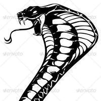 Muhammad Syazwan Shukri