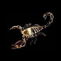 Дмитрий Чернухин