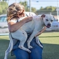 Catherine Kennedy Myers