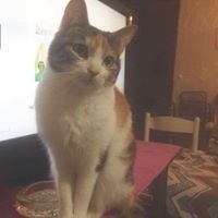 Caterina Anna Cusenza