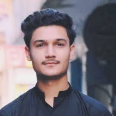 hamza saqib