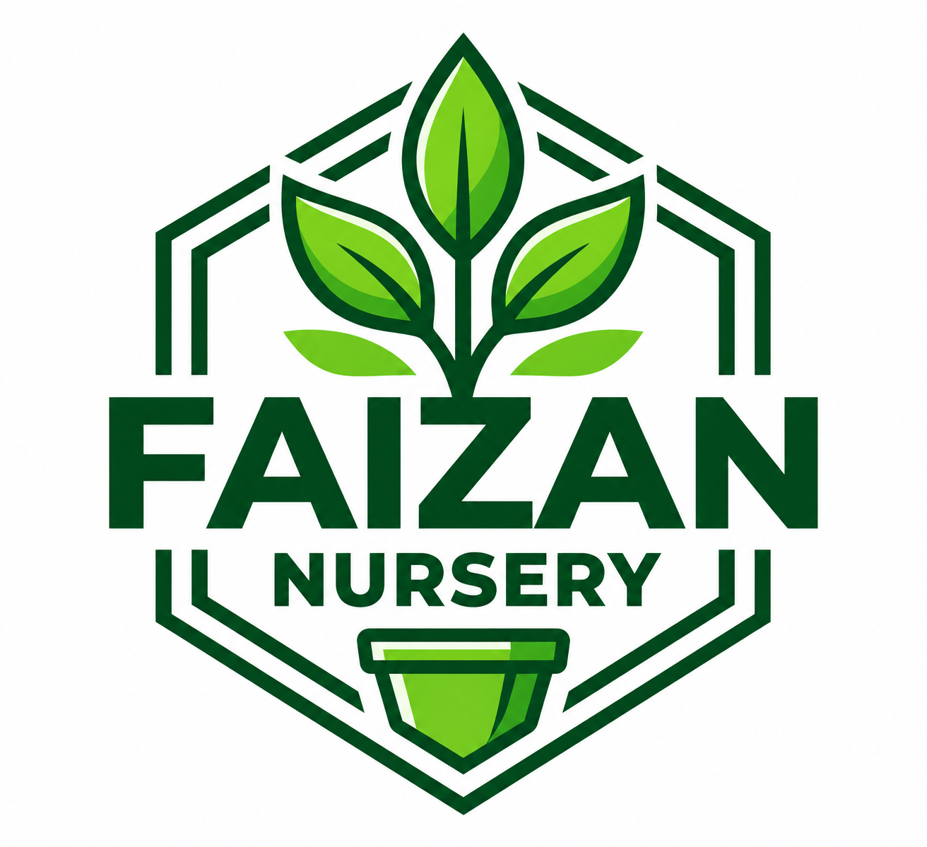 Hafiz Faizan