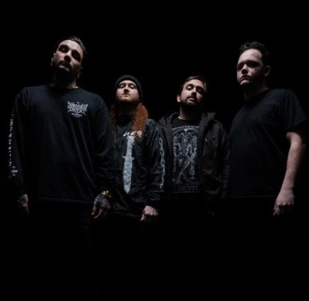 Signs of the Swarm Merch