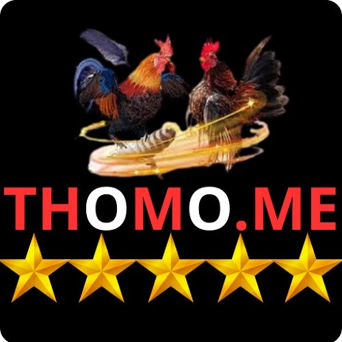 ĐÁ GÀ THOMO 