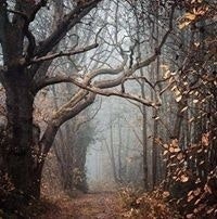 Julia Schimke-Kerkhoven