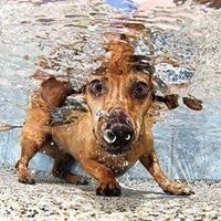 Pamela Tuckett Bowker