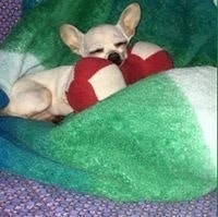 Kratah Sompit Surfbeach