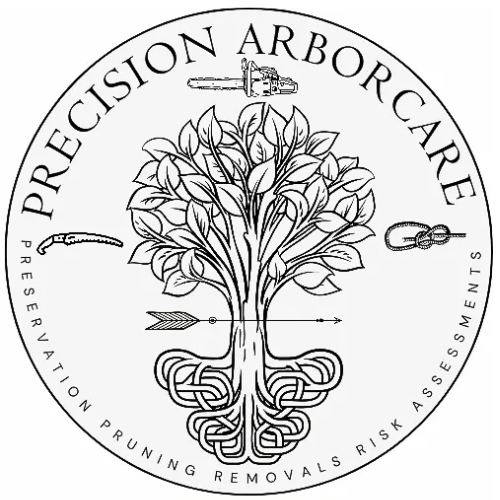 Precision Arbor Care