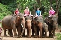 Chris DeMoss Goodman