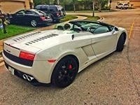 المدينة المنورة فابيان فابيان