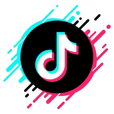 SnapTik: TikTok Video And Mp3 Downloader