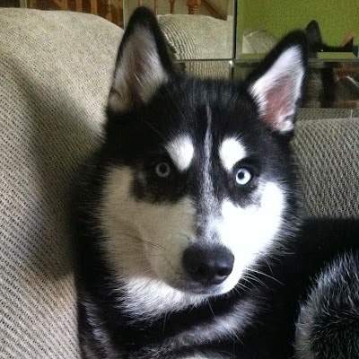 GinaMarie Napolitano