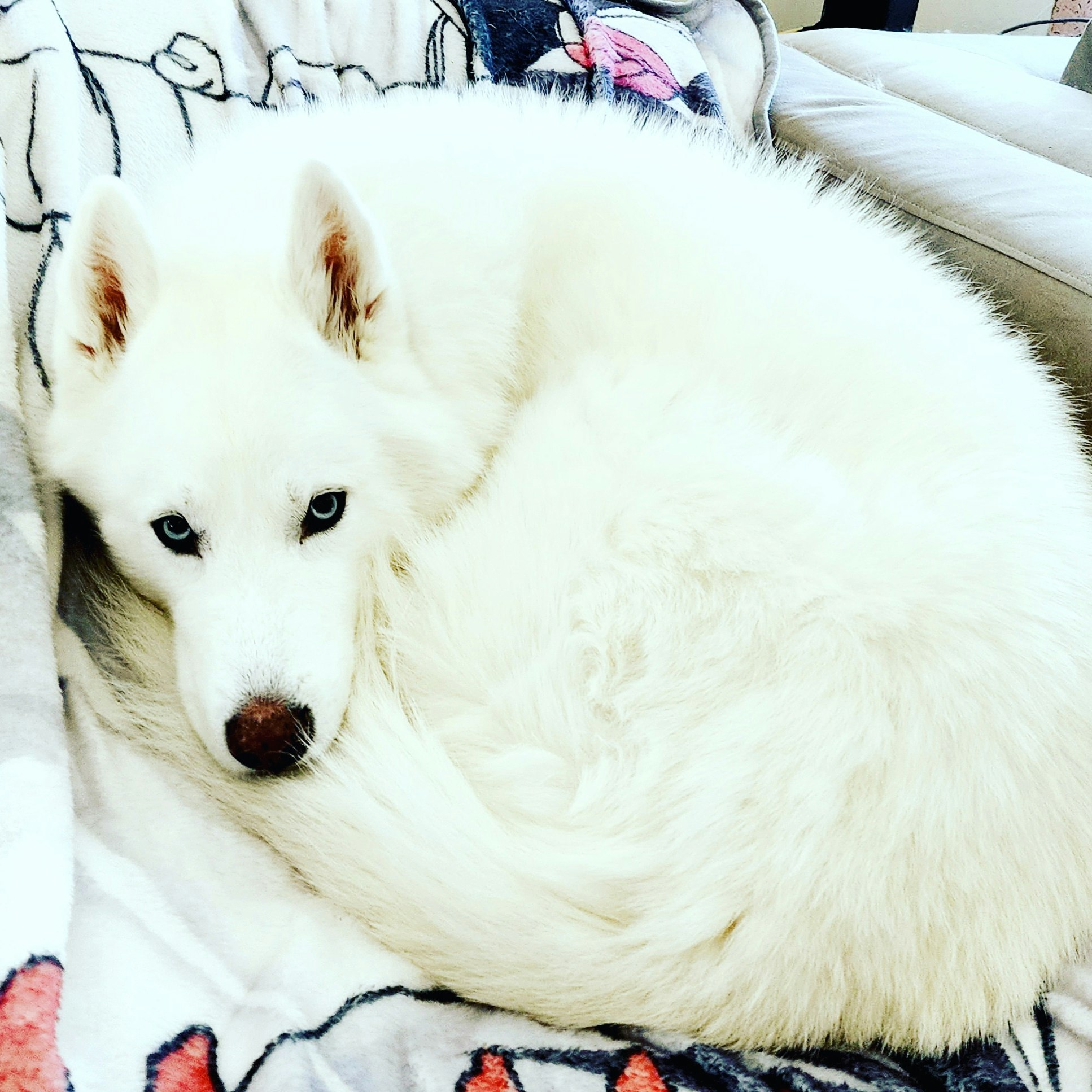 Michael Jones (Asrei)