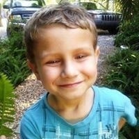 Kathy Carlone Holmes