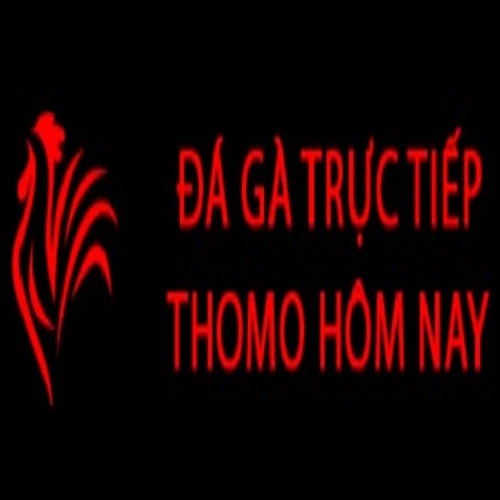 Đá Gà Trực Tiếp Thomo Hôm Nay