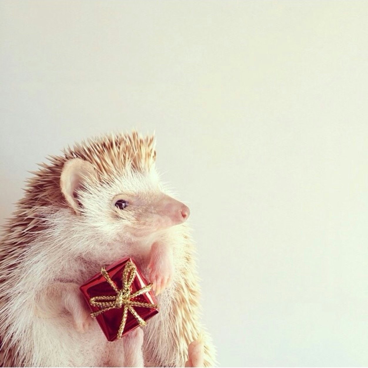 Мельник Александр