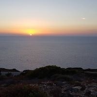 Frédéric Delamotte