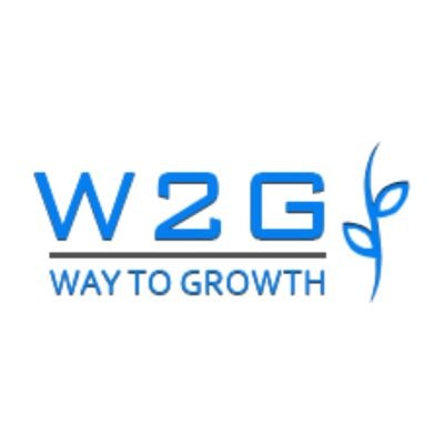 w2g solution